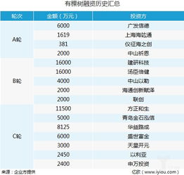 跨境電商有棵樹獲近4億元C輪融資,將建設(shè)全球商品流通網(wǎng)絡(luò)